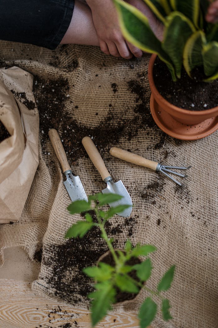 Flat lay of gardening tools, soil, and potted plants on burlap for home gardening inspiration.